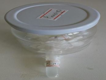 asejar_29_01.JPG