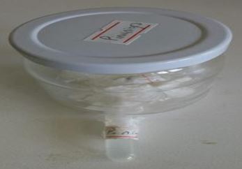 asejar_29_03.JPG