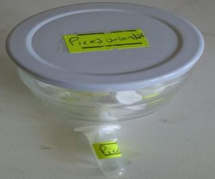 asejar_29_06.JPG