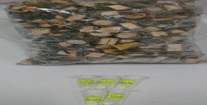 asejar_29_07.JPG