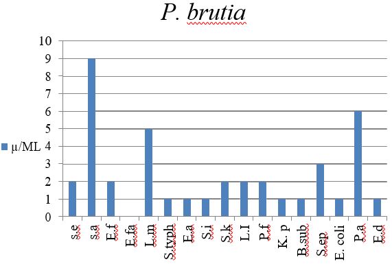 asejar_29_11.JPG
