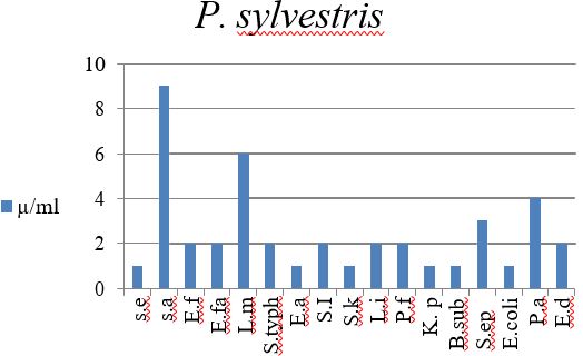 asejar_29_17.JPG