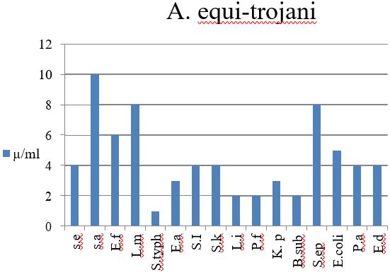 asejar_29_26.JPG